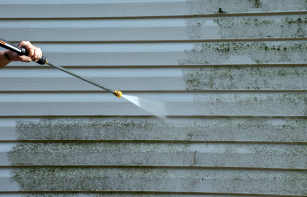 Best Attic Mold Removal  in Zephyrhills South, FL